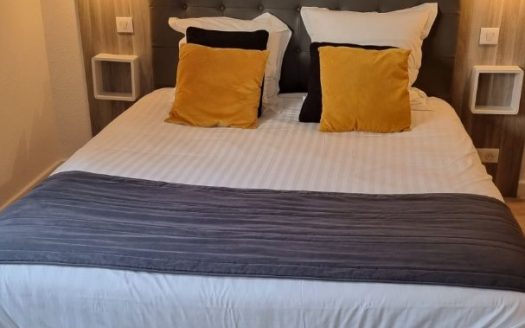RENTAL INVESTMENT – DIJON – Residence City Loft Apparthotel*** – 7.08% profitability.