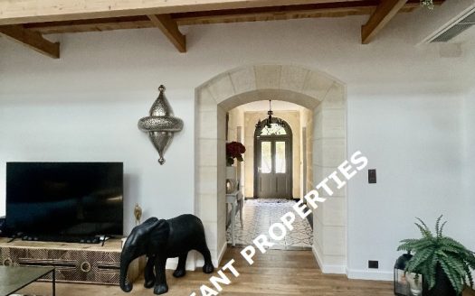 20 minutes from Bordeaux, Entre-Deux-Mers, Beautiful stone village house.