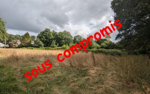 40 sqm STONE BARN TO RENOVATE WITH 4,267 sqm OF LAND – BUBRY (56)