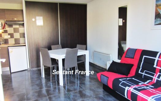 VILLA T2 35 M². FURNISHED. TERRACE. CAR PARK.