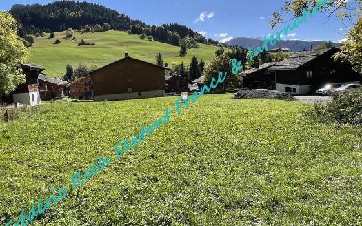 Beautiful building plot at the entrance of Le Chinaillon