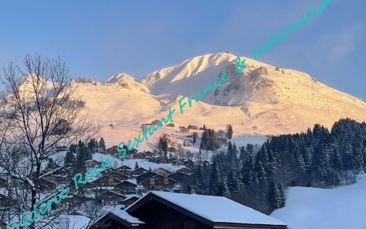 Beautiful building plot at the entrance of Le Chinaillon