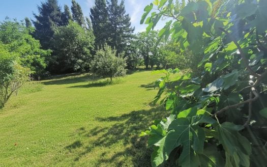 Beautiful old property: house, gite, barn and other outbuildings