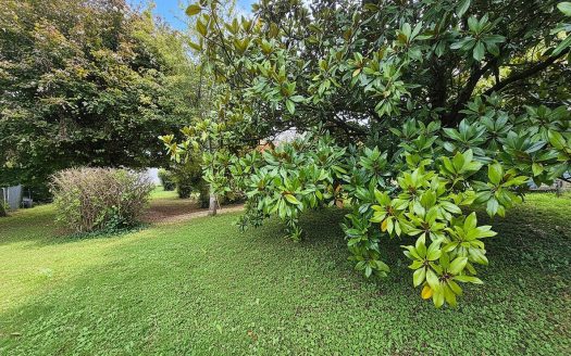 City center, bright family home with garage and landscaped garden