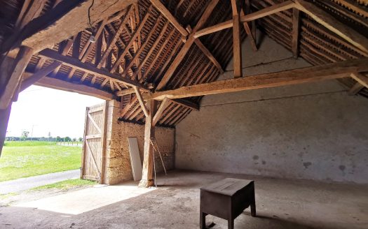 Close to Amboise town centre: old farmhouse, 6000 sqm of land