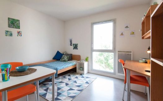 RENTAL INVESTMENT – Lyon 7th arrondissement – Student Residence, Floor 7 – 5% return
