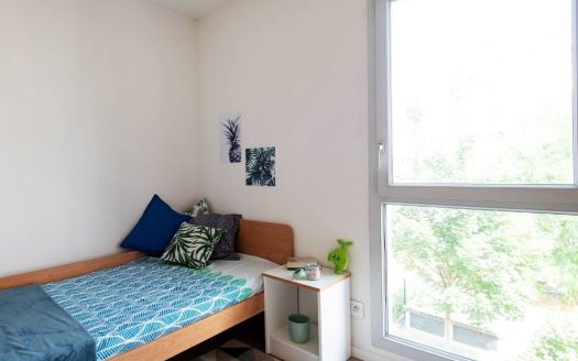 RENTAL INVESTMENT – Lyon 7th arrondissement – Student Residence, Floor 7 – 5% return