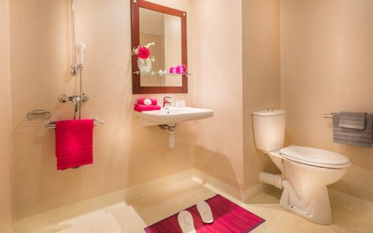 IRENTAL INVESTMENT – Pegomas – Les Jasmins de Cabrol Nursing Home – 5.61% return