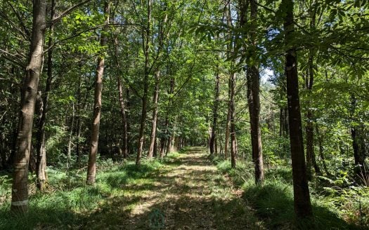 Country property with 13 hectares