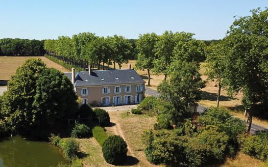 Large Renovated Estate with guest cottages and 5 Hectares of Land near Tours