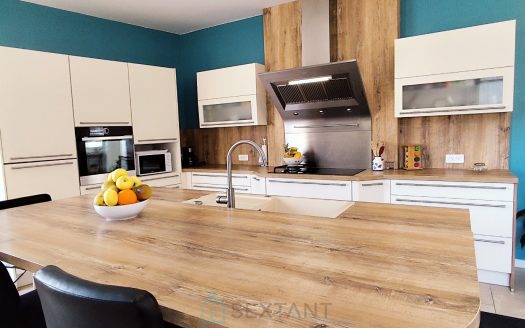 Village house with terrace and garage