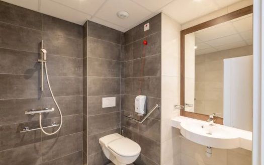 RENTAL INVESTMENT – PLAILLY – Le Cedre Nursing Home Residence – 6.11% return