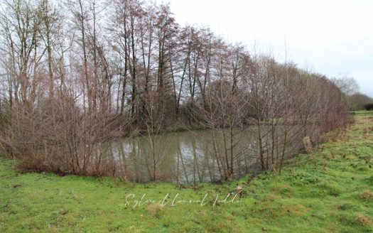 STONE HOUSE TO RENOVATE – QUIET AND PRESERVED ENVIRONMENT