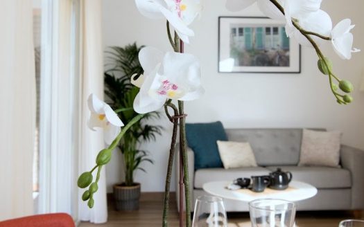 RENTAL INVESTMENT – Le Revest-les-Eaux – Les Terrasses du Revest Senior Residence – 6.91% return