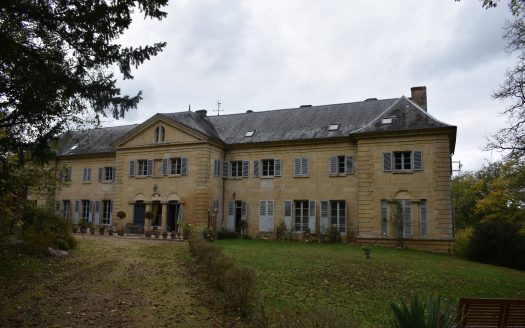 EXCEPTIONAL CHATEAU CLOSE TO PERIGEUX