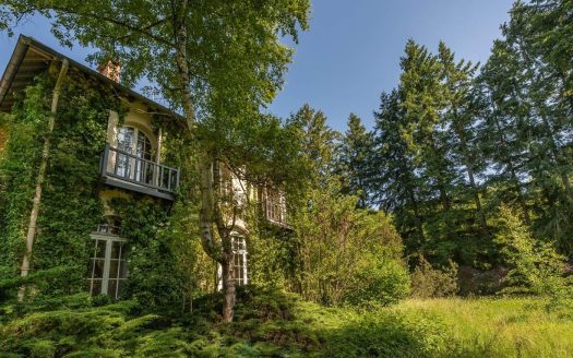 Barbizon on the edge of the forest