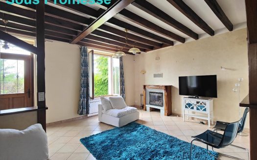 Charming 3 bedrooms property located 15 minutes south of Vendôme