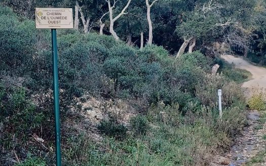 A large 2.6-hectare plot in Ramatuelle