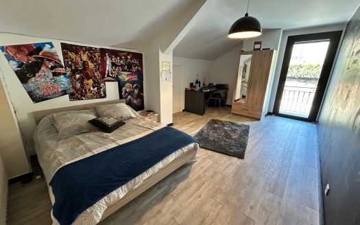 Exceptional property – 274 sqm of living space + 459 sqm of outbuildings