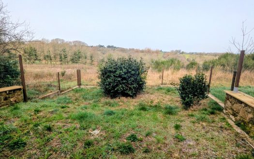 Country cottage with a barn