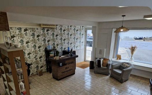 Local Pro + Appartement. Modulable en maison de ville intégrale.