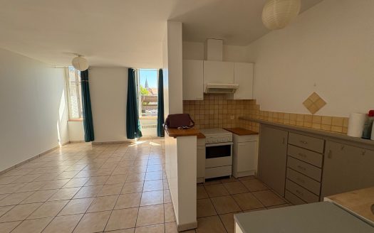 Local Pro + Appartement. Modulable en maison de ville intégrale.