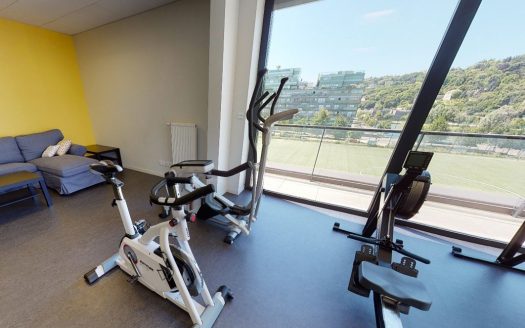 RENTAL INVESTMENT – Lyon – Artemisia Confluence Student Residence – 5% return