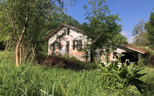 Authentic 18th-Century Landaise Farmhouse to Renovate