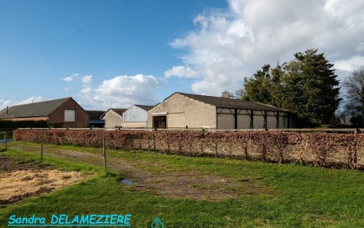 Equestrian property with character