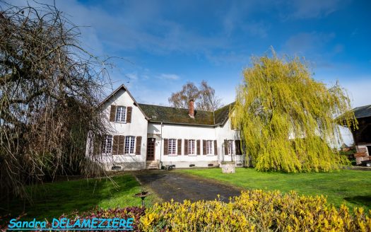 Equestrian property with character