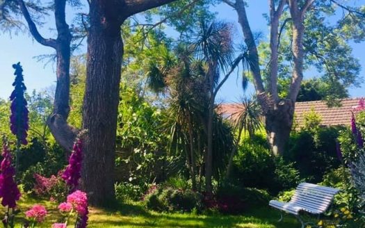 Elegant townhouse near the sea