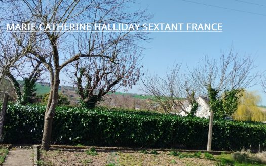 IDEAL FIRST PURCHASE