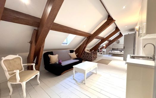 EXCEPTIONAL BELLE EPOQUE PROPERTY WITH POOL, PRIVATE GROUNDS, TERRACES, CASTLE VIEW