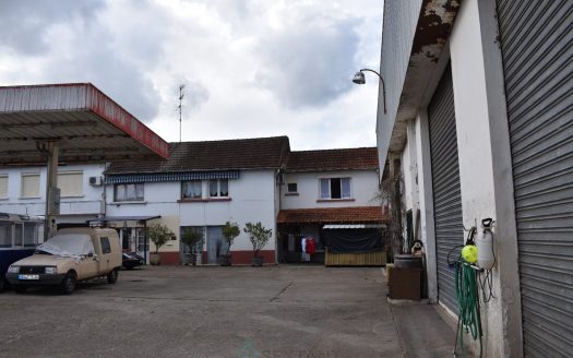 Life annuity (freehold) for one person, monthly payment of 3500 euros.