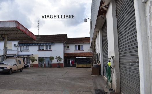 Life annuity (freehold) for one person, monthly payment of 3500 euros.