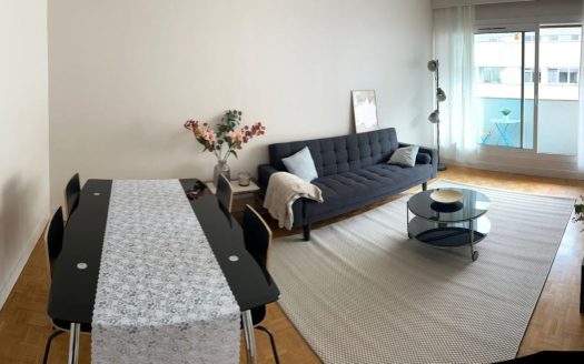 Charming apartment rue Saint-Dominique Paris 7th.