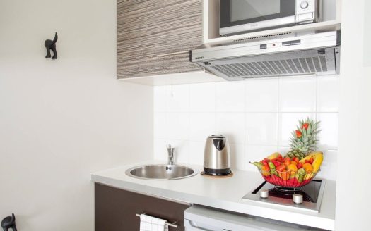 RENTAL INVESTMENT – Saint-Cyr-l'Ecole – L'Aeronat Student Residence – 5.52% return