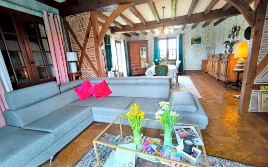 NEAR BERGERAC, CHARMING HOUSE WITH SHOPS WITHIN DISTACE WALKING