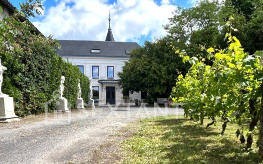 STONE MANOR HOUSE – 532 SQUARE METERS OF LIVING SPACE – 5 BEDROOMS – 2,610-SQUARE-METER GARDEN – COGNAC