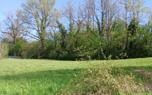 Terrain constructible