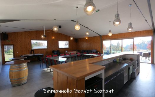 Touristic property in the Dordogne valley, 7.40 acres of land, 5 wooden chalets, reception room, 3 ensuite-bedroom house, swiming-pool, outbuildings