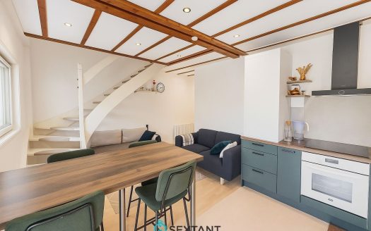 GRILLY- Bel appartement atypique de type T3  56 sqm (76 sqm utiles) – 415.000 €