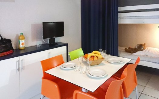 RENTAL INVESTMENT – BERRIAS AND CASTELJAU – Residence Vacances Bleues Lou Castel***- 6.59% profitability
