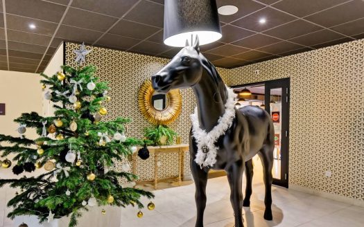 RENTAL INVESTMENT – SAUMUR – Heurus Epona multigenerational residence – 5.5% return