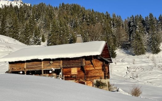 A rare Alpine Gem