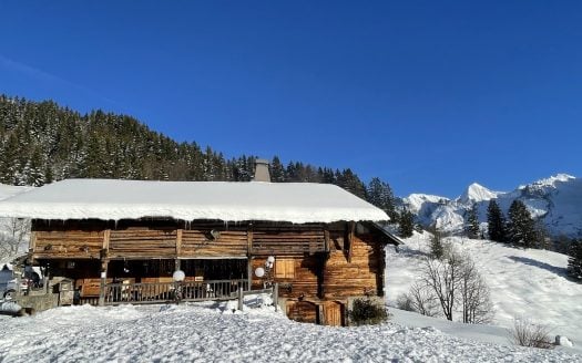 A rare Alpine Gem