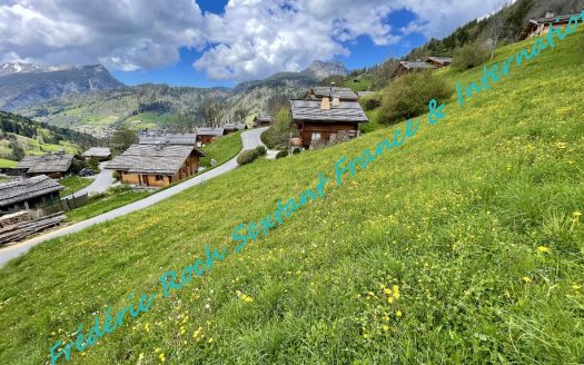 Exclusive land in a sunny area