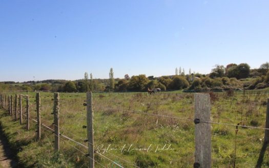 PROPERTY OF 30 HECTARES – STONE HOUSE TO RENOVATE – OUTBUILDINGS – PONDS