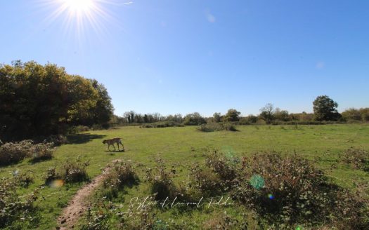 PROPERTY OF 30 HECTARES – STONE HOUSE TO RENOVATE – OUTBUILDINGS – PONDS