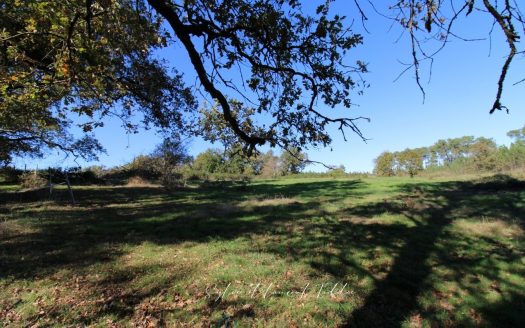 PROPERTY OF 30 HECTARES – STONE HOUSE TO RENOVATE – OUTBUILDINGS – PONDS
